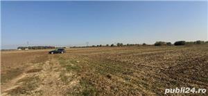 Teren extravilan Frumușani - imagine 6