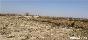 Teren extravilan Frumușani - imagine 2