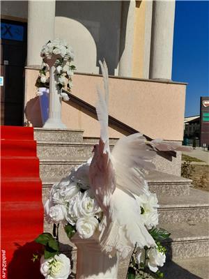 Porumbei pentru evenimente - imagine 8