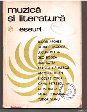 muzica si literatura romana   eseuri 