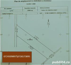 10.000 mp Teren Domnesti - imagine 2