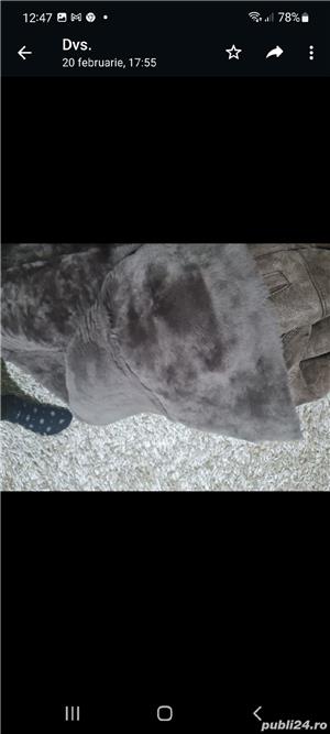 Îmbrăcăminte  - imagine 2