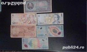 Vand bancnotele expuse din imagine