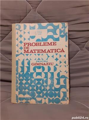 Probleme de matematica pentru gimnaziu-Ion Petrica
