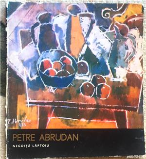 Petre Abrudan, Negoita Laptoiu