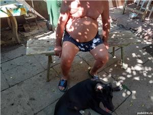 Vand banca veche antika  - imagine 2