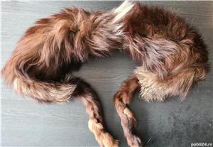 Vand guler de vulpe impecabil