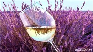 Vin din Vita Nobila - Tamaioasa Romaneasca - imagine 6