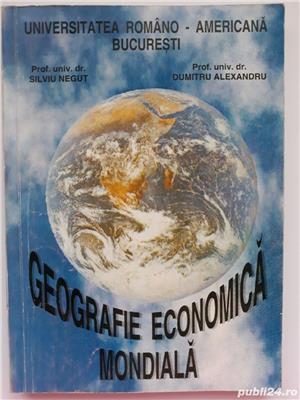 Geografie economică mondială, de Silviu Neguț