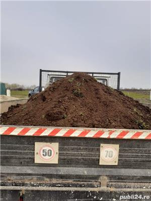 aduc la comanda pamint si mranita