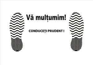 Covorase auto hartie 100 buc 