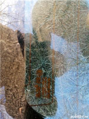 Haion cu luneta volvo v40 1996-2000 combi  - imagine 3