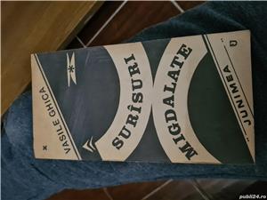 Surasuri migdalate-Vasile Ghica