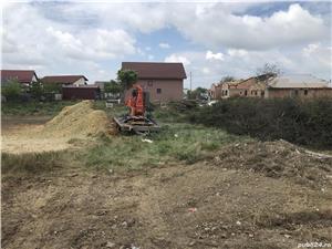 Defisari  x toaletare copacii    x tocator crengi x ridicarea resturilor vegetale 25 ani experienta  - imagine 2