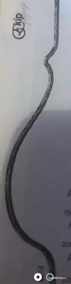 Balustru curbat pentru gard H1,5 m