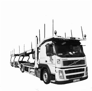 Transport pe platforma  auto transport on the platform - imagine 2