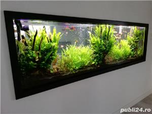 Amenajari si intretinere acvarii - imagine 4