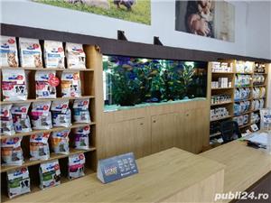 Amenajari si intretinere acvarii - imagine 9