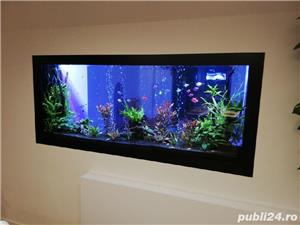 Amenajari si intretinere acvarii - imagine 7