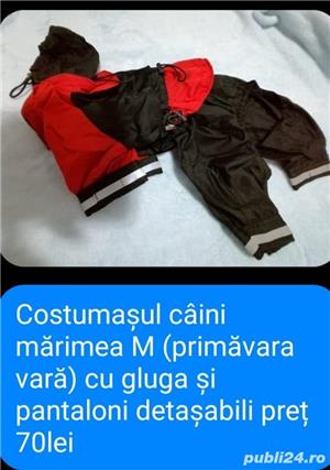 vand hainute de catei mici au fost cumparate di germania - imagine 5