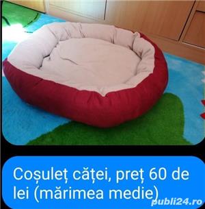 vand hainute de catei mici au fost cumparate di germania - imagine 2