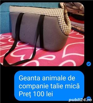 vand hainute de catei mici au fost cumparate di germania - imagine 4