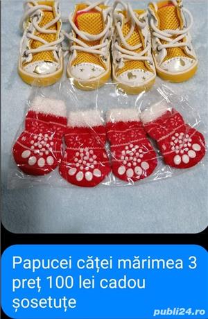 vand hainute de catei mici au fost cumparate di germania - imagine 7