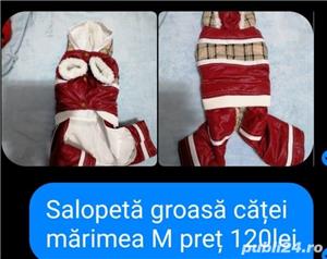 vand hainute de catei mici au fost cumparate di germania - imagine 3