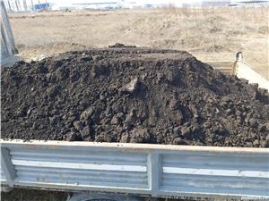 pamant negru vegetal 120 lei mc,inclusiv transportul - imagine 3