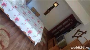 Apartament Baile Herculane - imagine 1