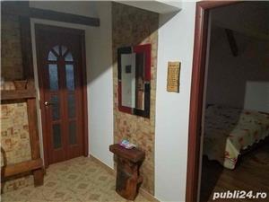 Apartament Baile Herculane - imagine 3