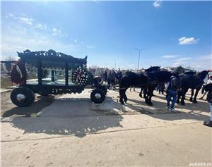 Transport funerar dric cu cai - imagine 4