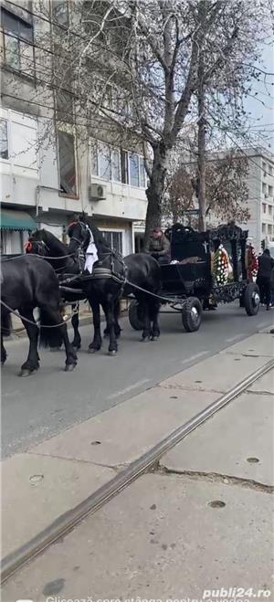 Transport funerar dric cu cai - imagine 5