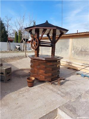 Fantana ornamentala - imagine 5