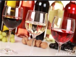 Vin  natural, Fraga,  Bio