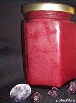 Sirop de coacăze negre, afine, mixate cu miere poliflora