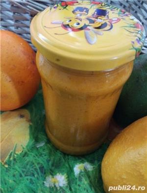 Sirop de CĂTINĂ, cu miere polifloră. Antioxidant natural 