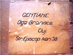 Tablou   Gentiane    semnat  Olga Branisce - imagine 3