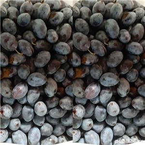 Palinca debistrita - imagine 4