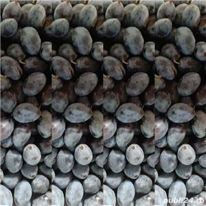 Palinca de bistrita - imagine 3