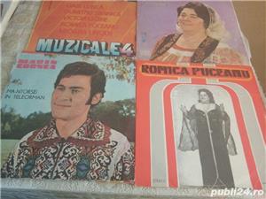 placi pentru pick-up - imagine 3