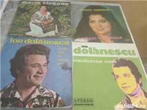 placi pentru pick-up - imagine 4