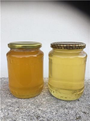 Miere de salcâm rapita polifloră  - imagine 2