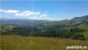 Teren la Pestera (Bran, Brasov) - imagine 4