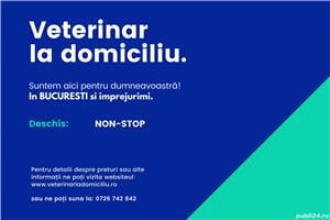 Veterinar la domiciliu - imagine 3