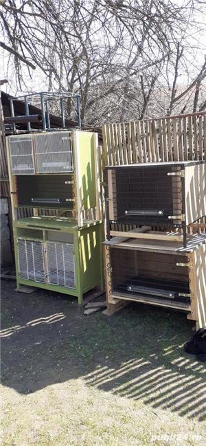 Custi pentru iepuri  - imagine 5