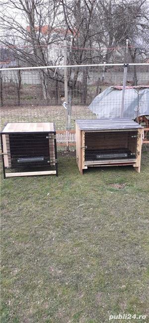 Custi pentru iepuri  - imagine 2