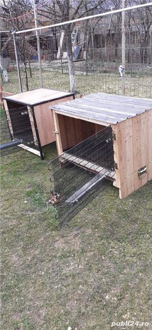 Custi pentru iepuri  - imagine 3