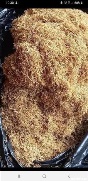 Firicel 0,1 și tocat - imagine 2