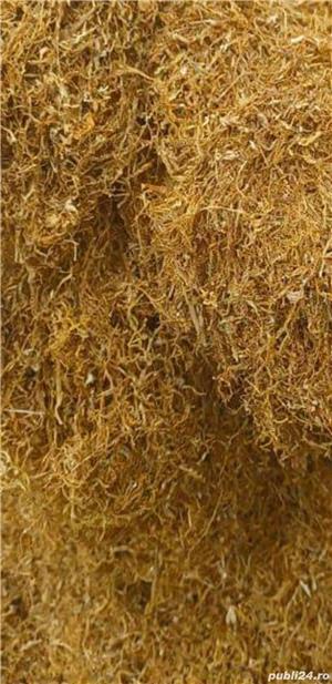 Firicel 0,1 și tocat - imagine 4